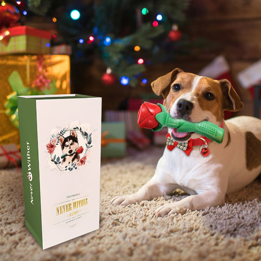Juguete para Perro Rosa Stick en Caja de Regalo - Image 4