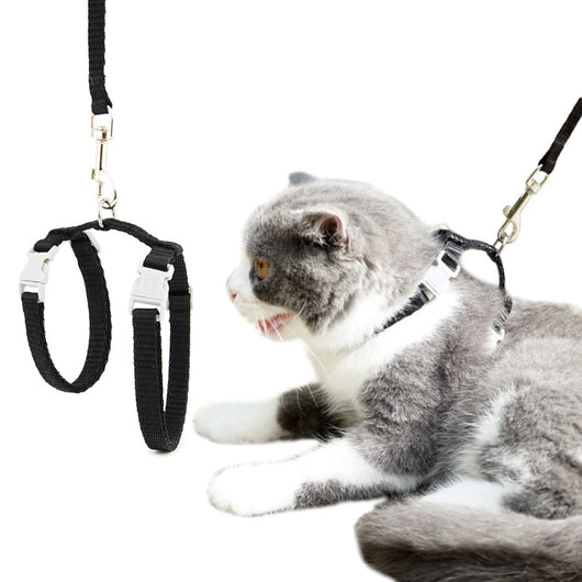 Arnés Ajustable en Forma de I para Gatos y Perros - Correa de Paseo Antiahogo Estilo Japonés - Image 15