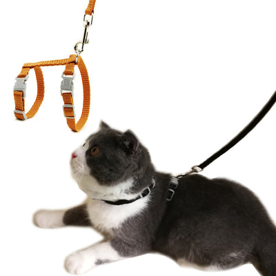 Arnés Ajustable en Forma de I para Gatos y Perros - Correa de Paseo Antiahogo Estilo Japonés - Image 10