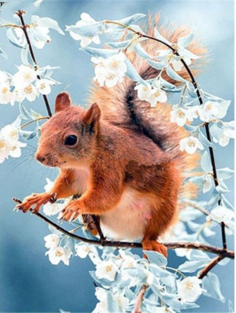 Ardilla Comiendo Piñas en el Árbol - Cuadro en Lienzo, Pintura Acrílica Clásica de Animales - Image 6