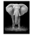 Kit de Pintura Digital DIY - Elefante Africano