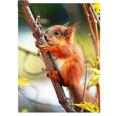 Ardilla Comiendo Piñas en el Árbol - Cuadro en Lienzo, Pintura Acrílica Clásica de Animales - Image 2
