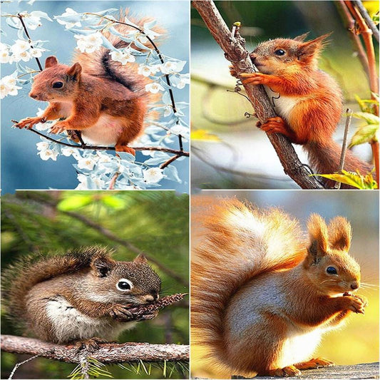Ardilla Comiendo Piñas en el Árbol - Cuadro en Lienzo, Pintura Acrílica Clásica de Animales