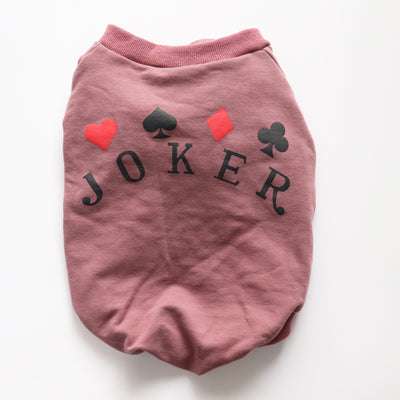 Sudadera de Algodón Puro para Perros Schnauzer y Gatos Pequeños - Image 7