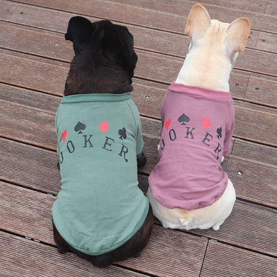 Sudadera de Algodón Puro para Perros Schnauzer y Gatos Pequeños - Image 3