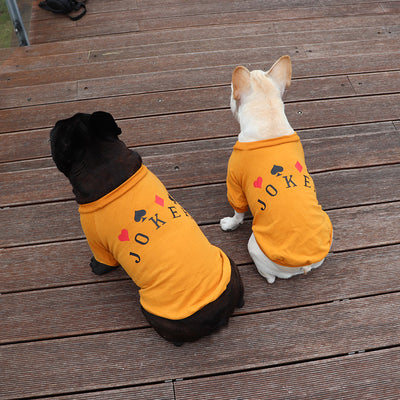 Sudadera de Algodón Puro para Perros Schnauzer y Gatos Pequeños