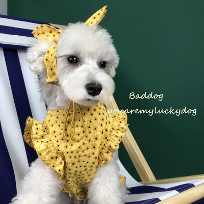 Vestido Fresco de Verano para Perros Pequeños - Image 8