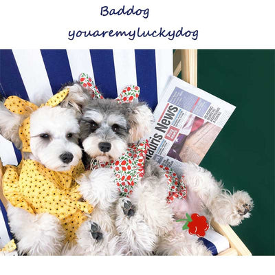 Vestido Fresco de Verano para Perros Pequeños - Image 4