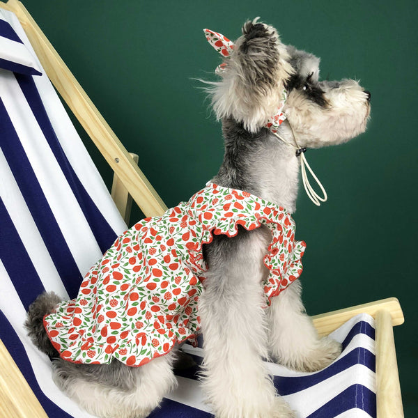 Vestido Fresco de Verano para Perros Pequeños - Image 2
