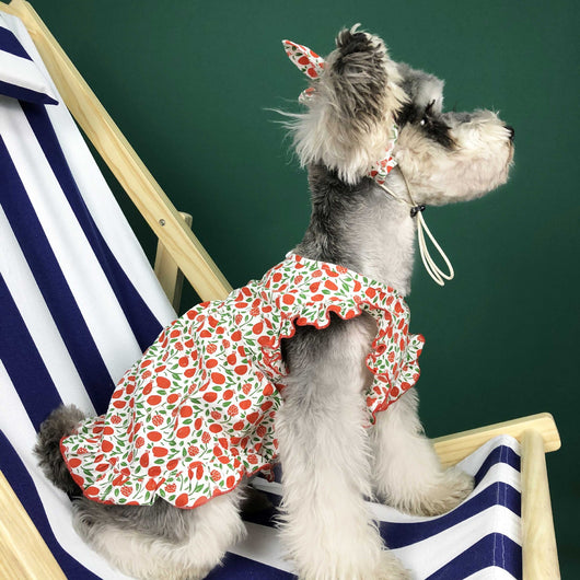 Vestido Fresco de Verano para Perros Pequeños - Image 2