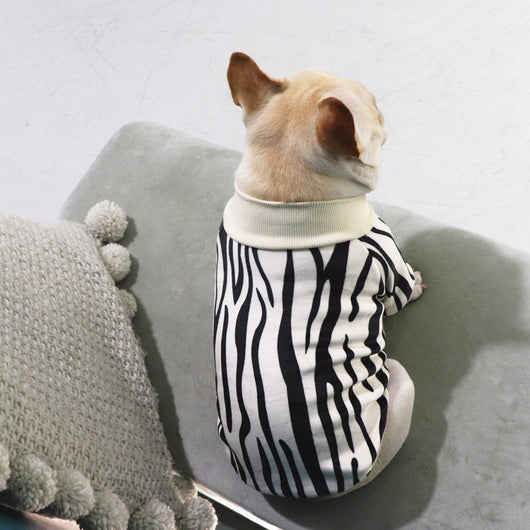 Suéter Grueso de Felpa Elástica para Perros Pequeños - Ropa de Otoño e Invierno - Image 10