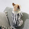 Suéter Grueso de Felpa Elástica para Perros Pequeños - Ropa de Otoño e Invierno