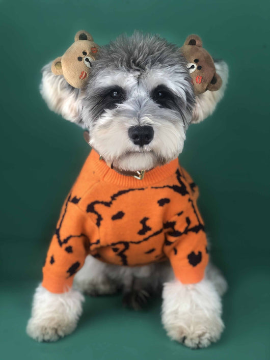 Suéter para Perros Pequeños Primavera Otoño - Jersey Cálido y Cómodo - Image 7