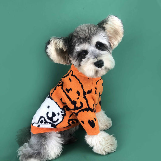 Suéter para Perros Pequeños Primavera Otoño - Jersey Cálido y Cómodo - Image 11
