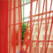 Rojo 100 X 270 Cm