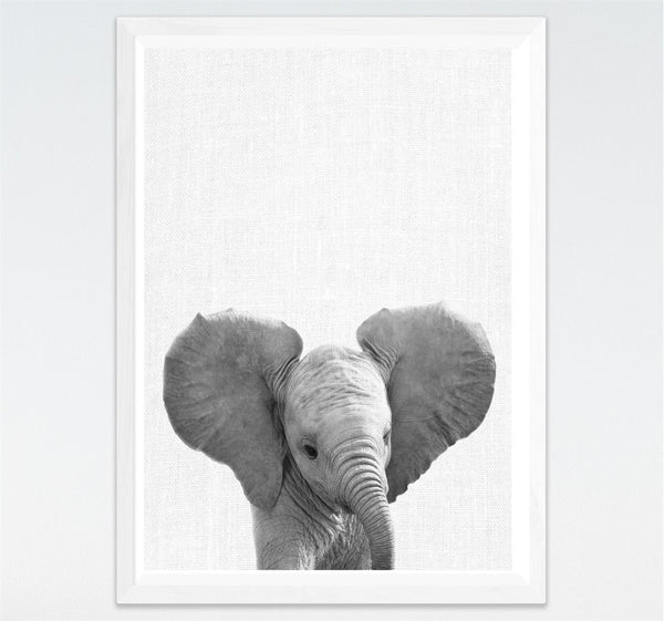 Cuadros Modernos Blanco y Negro Animales Pequeños para Habitación Infantil