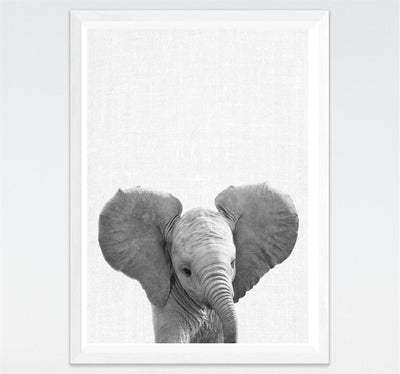Cuadros Modernos Blanco y Negro Animales Pequeños para Habitación Infantil