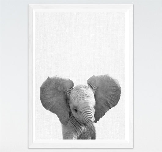 Cuadros Modernos Blanco y Negro Animales Pequeños para Habitación Infantil