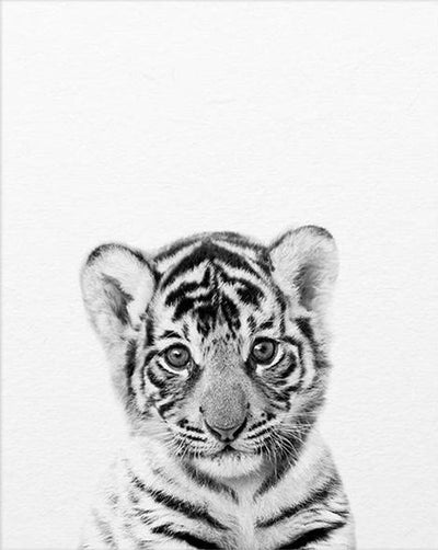 Cuadros Modernos Blanco y Negro Animales Pequeños para Habitación Infantil - Image 8