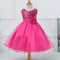 Girls' Princess Dress with Puffy Tulle Skirt