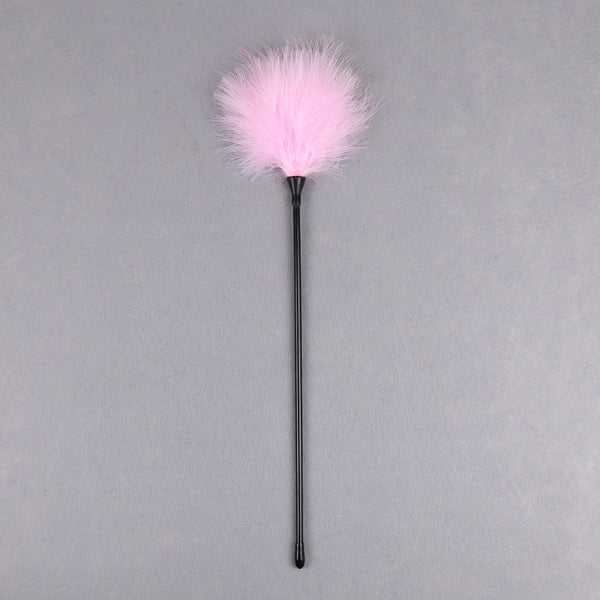 Juguete Látigo de Plumas para Aves - Diversión Interactiva