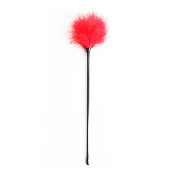Juguete Látigo de Plumas para Aves - Diversión Interactiva