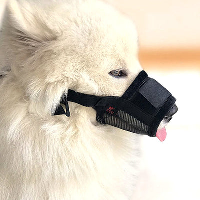 Protector Bucal Antimorisco para Perros y Funda Protectora de Muebles