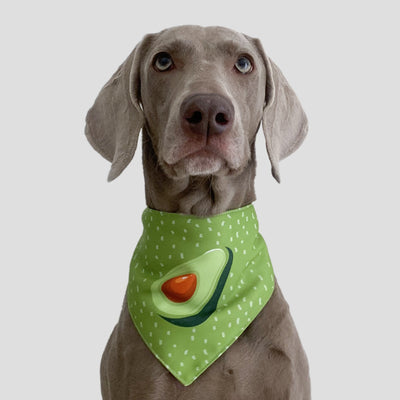 Pañuelo Triangular Refrescante de Aguacate para Perros y Gatos