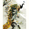 Kit de Pintura Digital Pavo Real Artístico para Crear en Casa