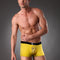 Yellow Negro