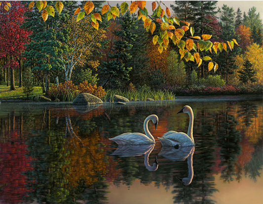 Kit de Pintura por Números Cisnes de Otoño