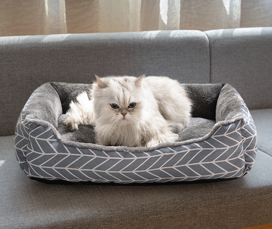 Casa para Gatos y Perros Pequeños Four Seasons - Diseño Viral - Image 11