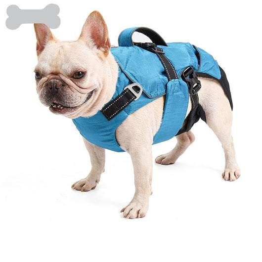 Mochila Multifuncional para Mascotas con Protección Dorsal - Image 3