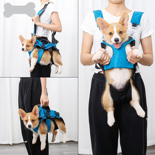 Mochila Multifuncional para Mascotas con Protección Dorsal