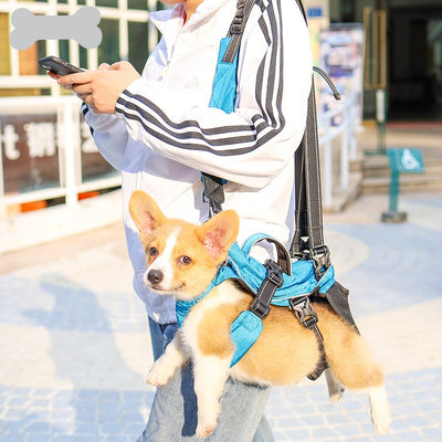 Mochila Multifuncional para Mascotas con Protección Dorsal - Image 4