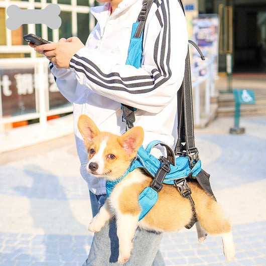 Mochila Multifuncional para Mascotas con Protección Dorsal - Image 4