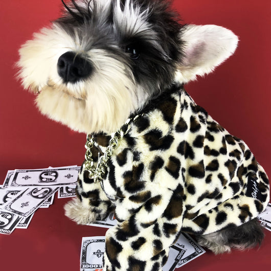 Abrigo Leopardo para Perros Pequeños - Ropa de Primavera y Otoño - Image 7