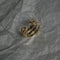 Niche Design 18k Dorado-plated Personality Zircon Bamboo Ring Dorado Tamaño 6
