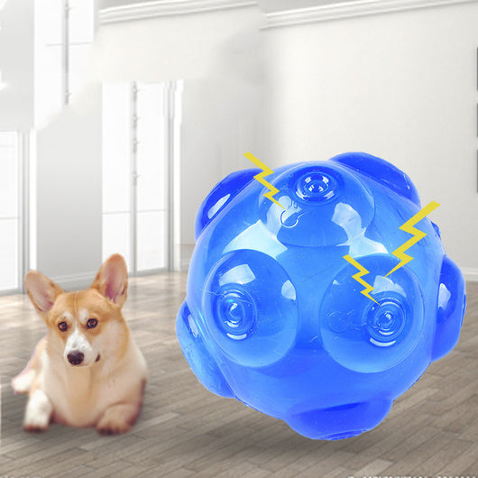 Translucent blue pet toy ball with textured nubs, designed for dogs to chew and play with.
