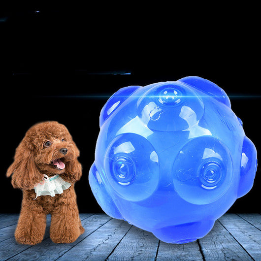 Translucent blue pet toy ball with textured nubs, designed for dogs to chew and play with. - Image 3