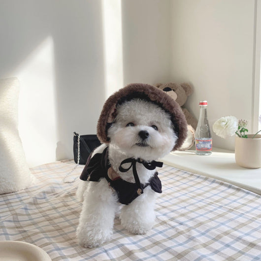 Falda Tirantes para Perro con Diseño Osito Bichón Teddy - Image 10