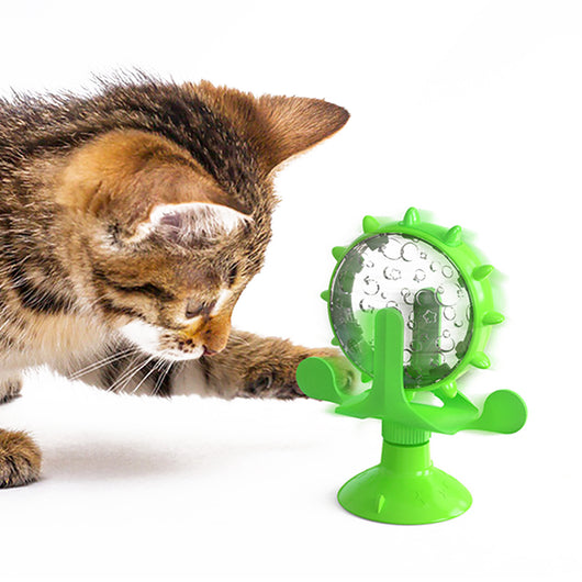 Rueda Interactiva Dispensadora de Alimento para Gatos - Image 10