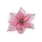 Rosado 10 Piezas