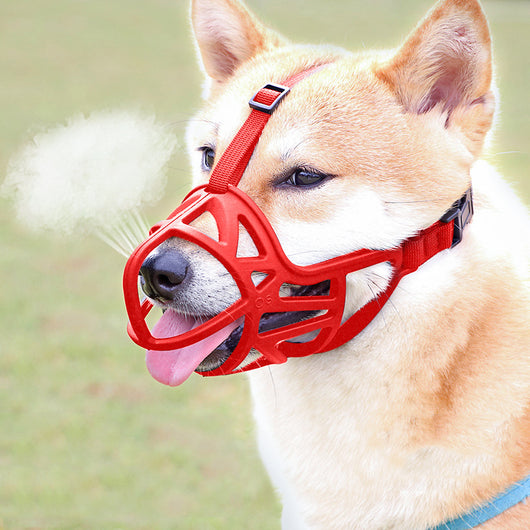 Bozal Suave para Perros - Image 6