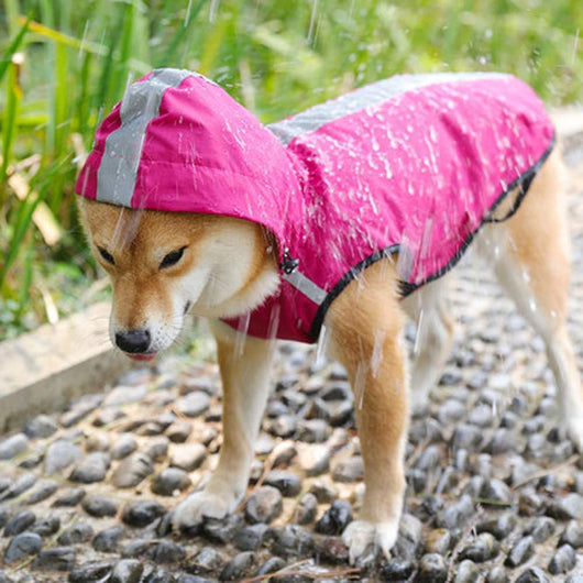 Impermeable para Mascotas - Fácil de Poner y Quitar - Image 4