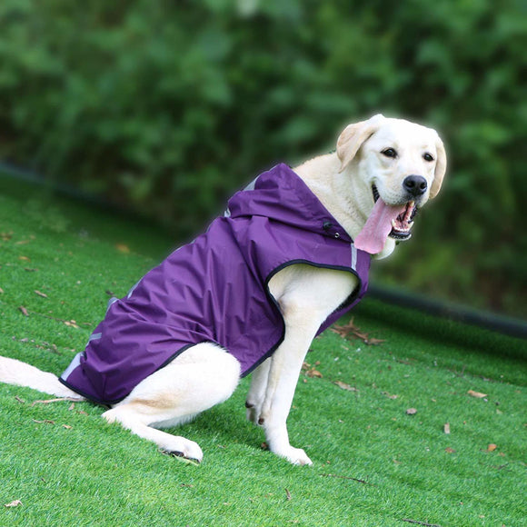 Impermeable para Mascotas - Fácil de Poner y Quitar