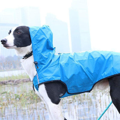 Impermeable para Mascotas - Fácil de Poner y Quitar - Image 5