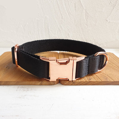 Anillo Hebilla Metálica para Perro - Diseño Importado Moderno - Image 3