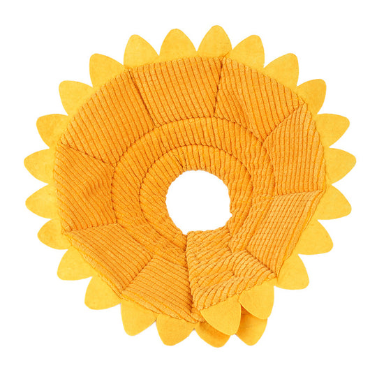 Collar de Protección Postoperatoria Girasol - Image 9