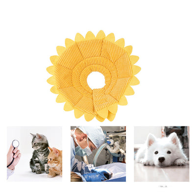 Collar de Protección Postoperatoria Girasol - Image 8